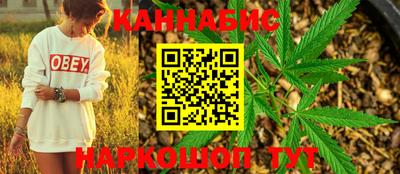 сатива Абакан