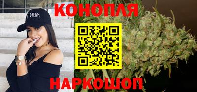 сатива Абакан