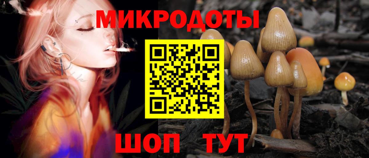 Псилоцибиновые грибы Psilocybe Алексеевка