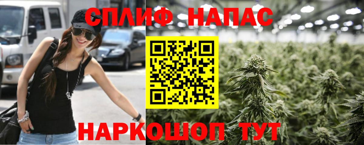 Конопля MAZAR  Каннабис гибрид  Бошки марихуана планчик  Вход с VPN  Алексеевка 